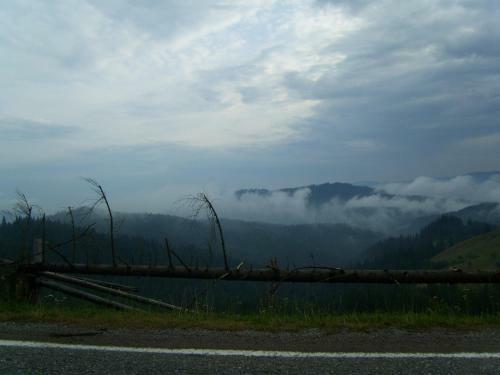 Hostal Pension Lucia Bucovina