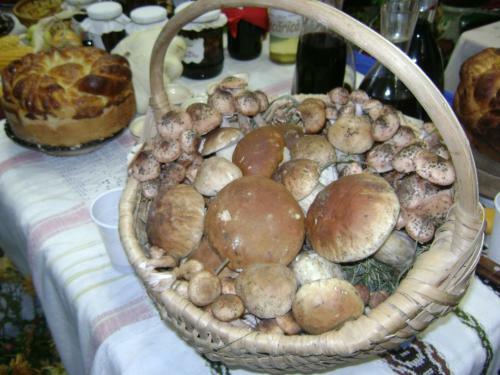 Casa Bunicii Din Bucovina