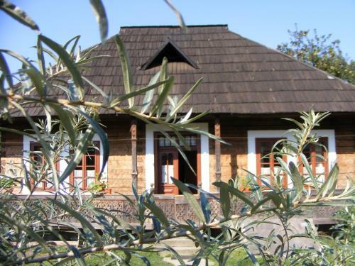 Casa Bunicii Din Bucovina