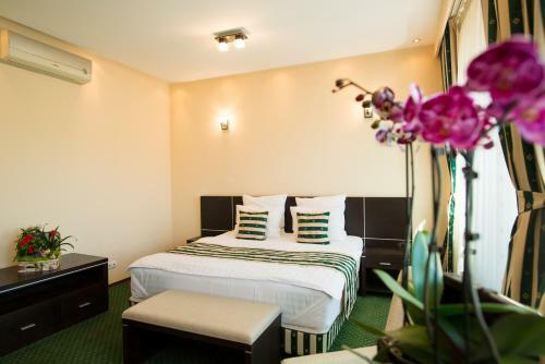 Hostal Pensiunea President