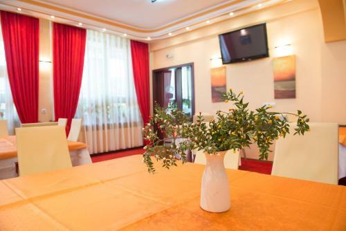 Hostal Pensiunea President