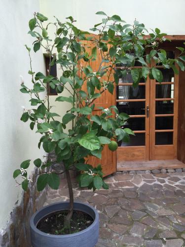 Hostal Casa Bunicilor