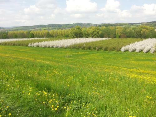 Apartamento Ferienhof Dachsberg Weitblick