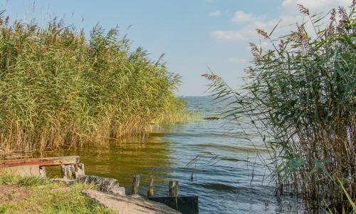 An Der Boddenweide