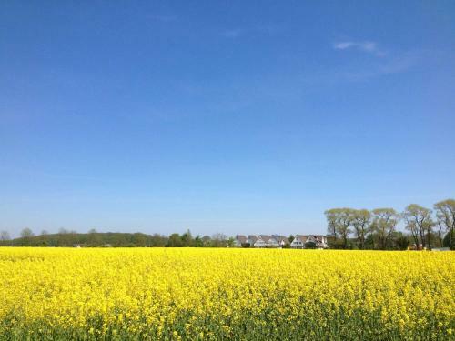 Apartamento Historisches Kapit�nshaus Breege
