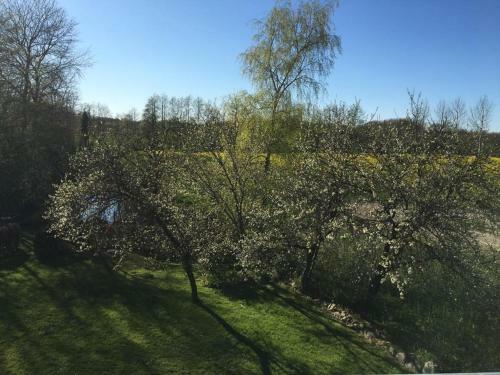 Apartamento Zwischen Den Feldern