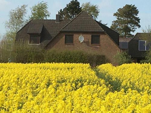 Apartamento Zwischen Den Feldern