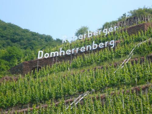 Hostal Mosel-landhaus