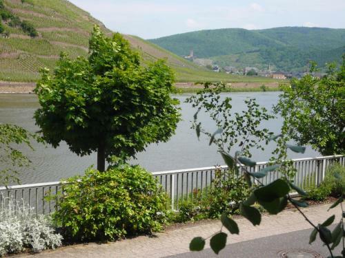 Hostal Mosel-landhaus