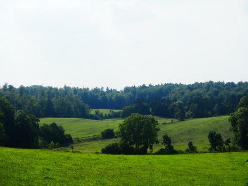 Apartamento Clausberg Ferienwohnungen