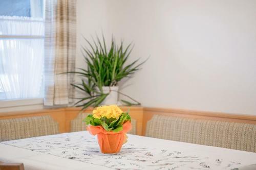 Apartamento Ferienwohnung Wennesz 2