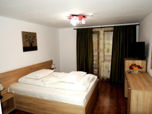 Hostal Pensiunea Casa Zarnesteana