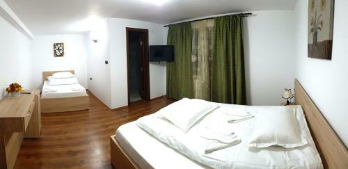 Hostal Pensiunea Casa Zarnesteana