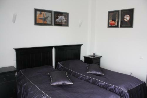 Hostal Pensiunea All Seasons