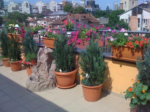 Apartamentos Penthouse Centru Civic
