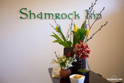 Hostal Shamrock Inn