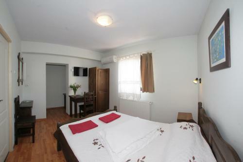 Hostal Casa Oana