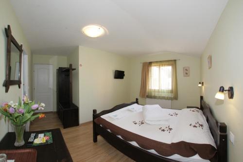 Hostal Casa Oana