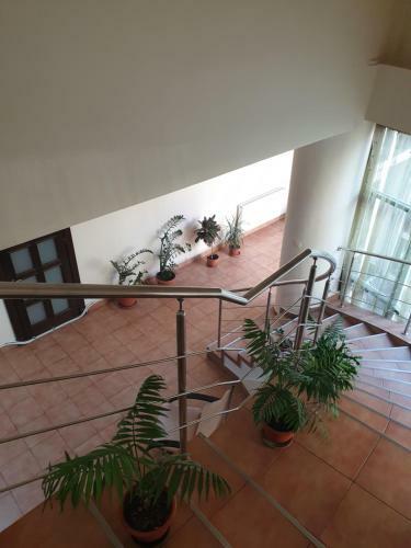 Hostal Pension Ambiance City