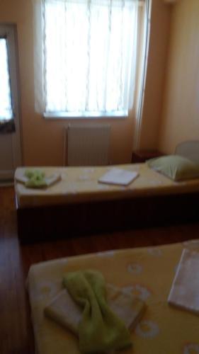 Hostal Pensiunea Nicol Tulcea