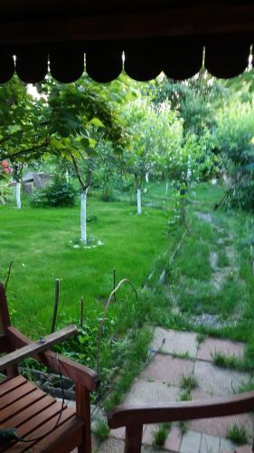 Hostal Pensiunea Nicol Tulcea