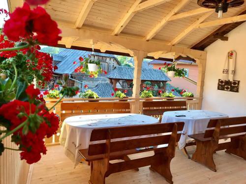 Hostal Pensiunea Cretuca