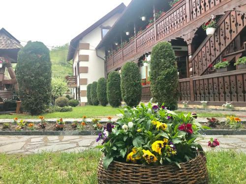 Hostal Pensiunea Cretuca