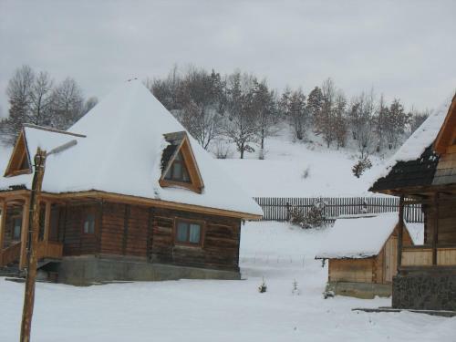 Hostal Casele De Vacanta Luca & Vicentiu