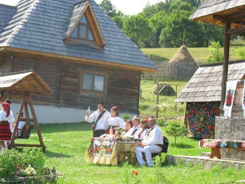 Hostal Casele De Vacanta Luca & Vicentiu