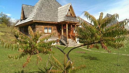 Hostal Casele De Vacanta Luca & Vicentiu