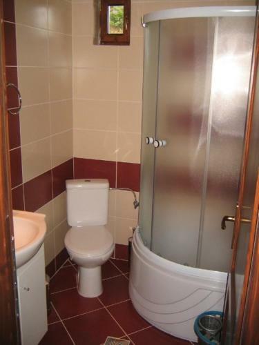 Hostal Casele De Vacanta Luca & Vicentiu