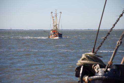 Apartamento Ferienwohnung Badedeich