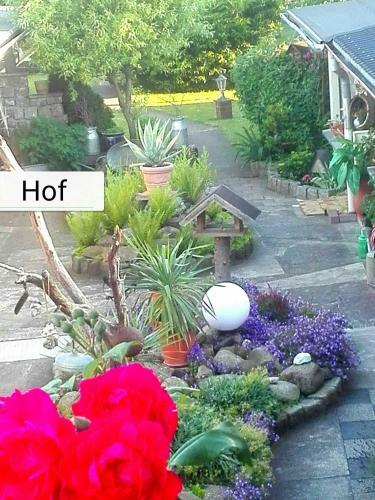 Apartamento Ferienbungalow 1