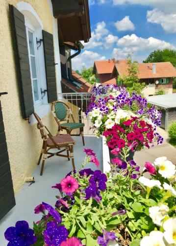 Hotel Goldammer