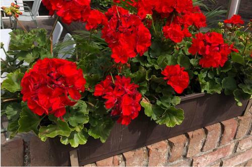 Hotel Haus Sch�newald
