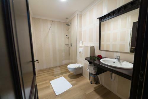 Hostal Vila Steaua Nordului
