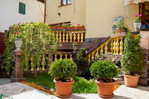 Hostal Pension Mellis Cluj Napoca