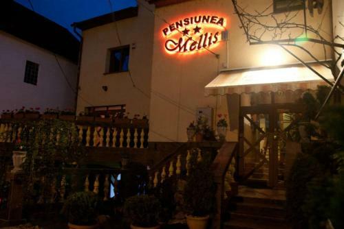 Hostal Pension Mellis Cluj Napoca