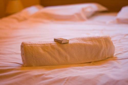 Hostal Pension Mellis Cluj Napoca