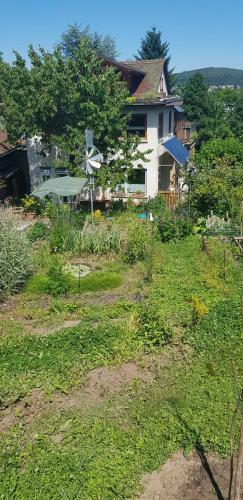 Apartamento Ferienwohnung Wendel