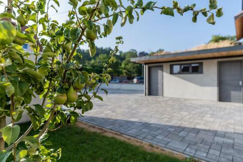 Bed & Breakfast Zollhaus