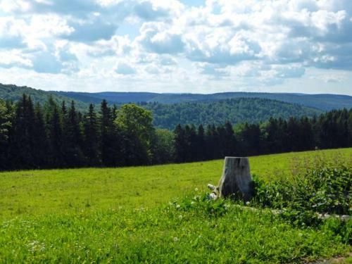 Hotel Am Tr�nkbachtal