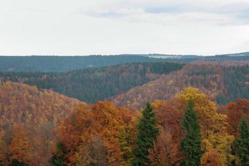 Hotel Am Tr�nkbachtal