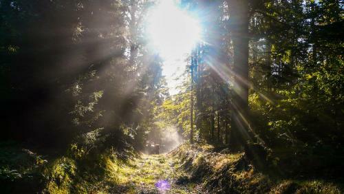 Hotel Am Tr�nkbachtal