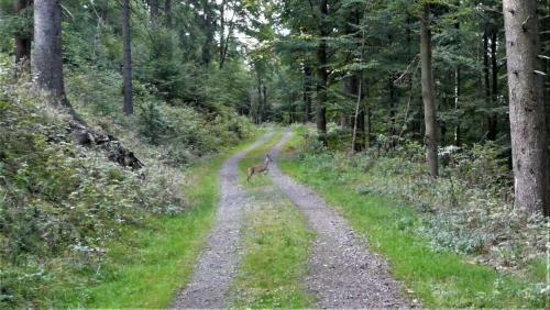 Hotel Am Tr�nkbachtal