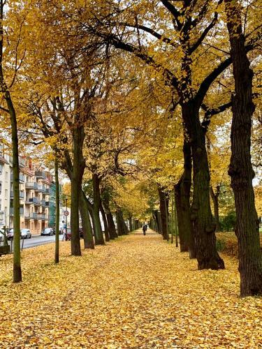 Apartamento Ferienwohnung Frankfurt-oder Am Park Im Zentrum