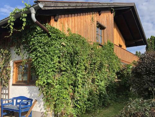 Apartamento Ferienwohnung Florina