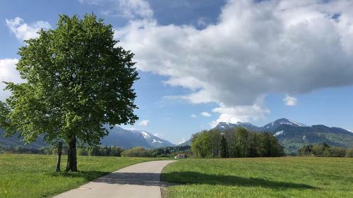 Apartamento Ferienwohnung Florina