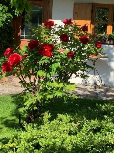 Apartamento Ferienwohnung Fanese