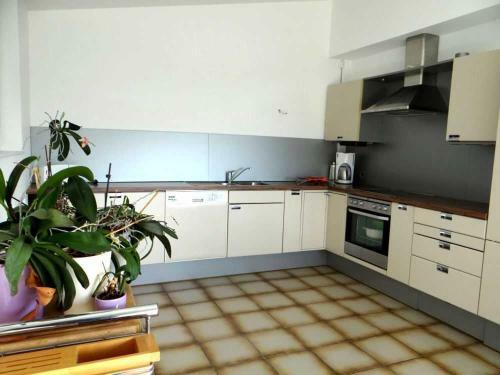 Apartamento Ferienwohnung Haida